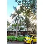 Omar do Rio, 3BDRs, Smart TV, 250mbps Internet, 330m from Copacabana Beach&550m from General Osório Subway, RE 253